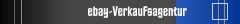 ebay-Verkaufsagentur